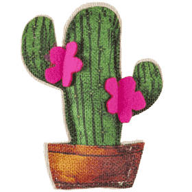 Profumatore ECO Cactus Agrumi