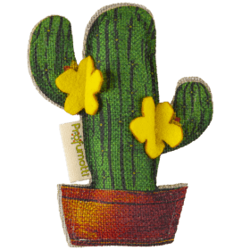Profumatore Eco Cactus Cedro & Vaniglia